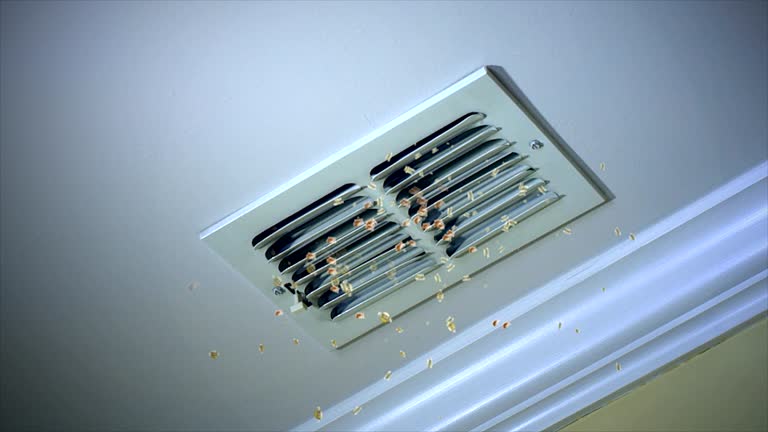 Best Best Air Duct Cleaning Company  in Shoshone, ID