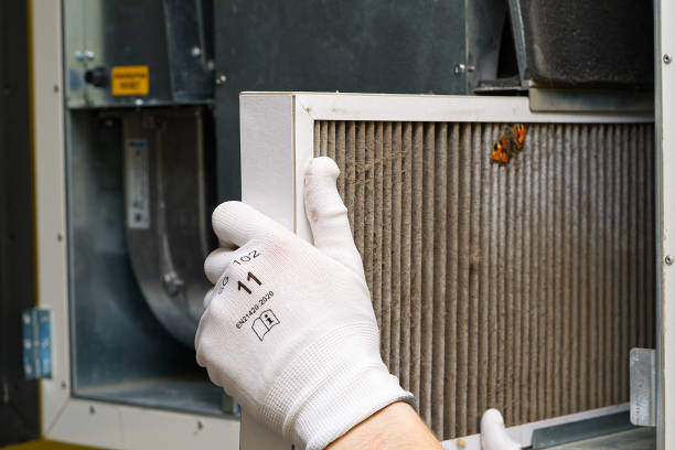 Best Ductwork Cleaning Services  in Shoshone, ID