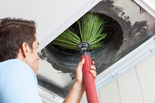 Best Duct Cleaning for Homes  in Shoshone, ID